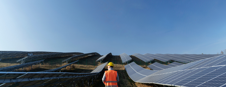 Cómo los paneles solares en méxico están transformando la industria energética